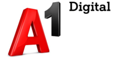 A1 Digital für Unternehmensberatung mit den Schwerpunkten Businessplan, Förderung, Gesellschaftsvertrag, Digitalisierung, Website, Social Media und Datenschutz